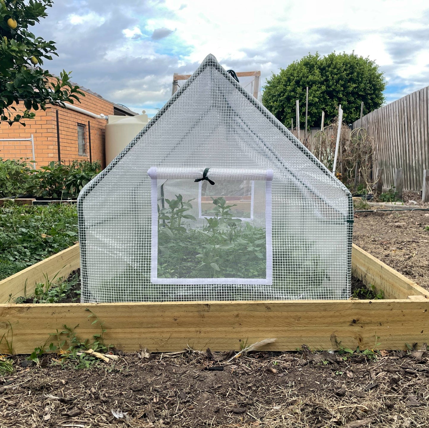 Mini Greenhouse 2m
